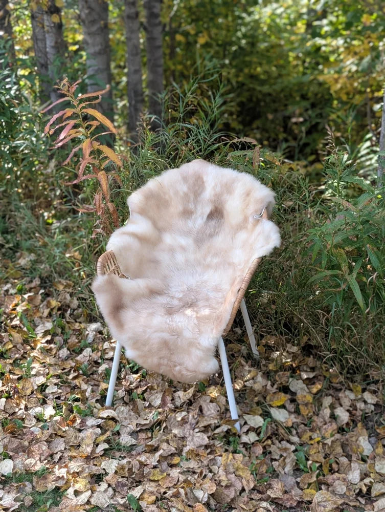 A cozy light beige british isles sheepskin blanket draped over a modern wicker chair with slender white legs