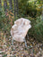 A cozy light beige british isles sheepskin blanket draped over a modern wicker chair with slender white legs