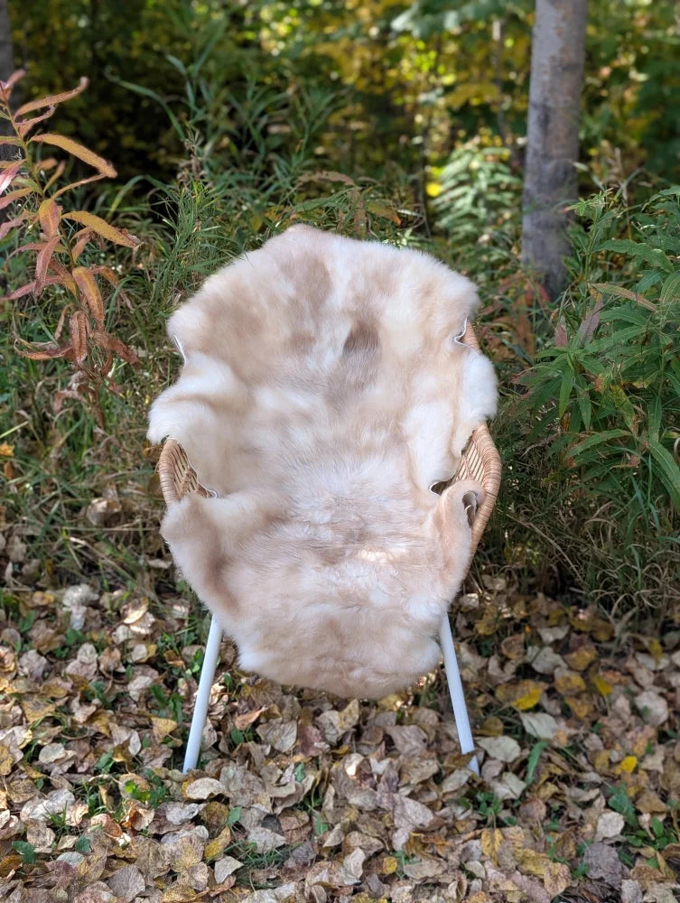 A soft cream-colored british isles sheepskin rug draped over a wicker chair with white metal legs