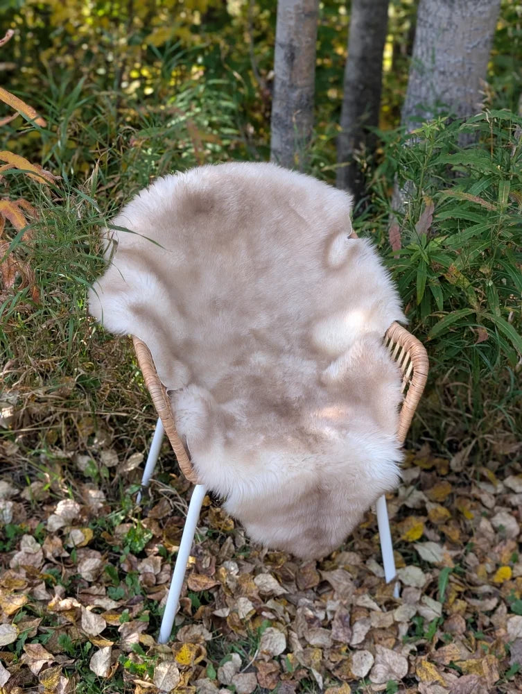 A soft light beige british isles sheepskin rug draped over a wicker chair with white metal legs