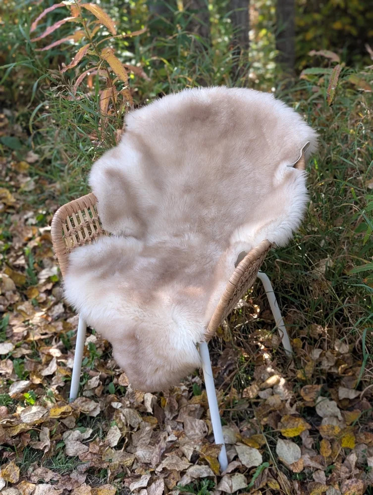 A soft light beige british isles sheepskin rug with fluffy texture draped over a wicker chair