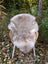 A soft light beige british isles sheepskin rug with natural fluffy texture draped over a wicker chair