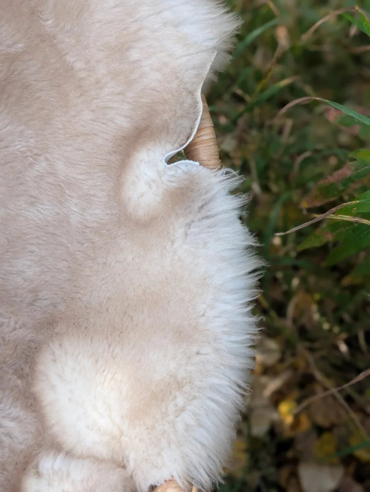 Cream-colored plush british isles sheepskin rug with soft fluffy texture and natural fur edges mel3 46x29 inches