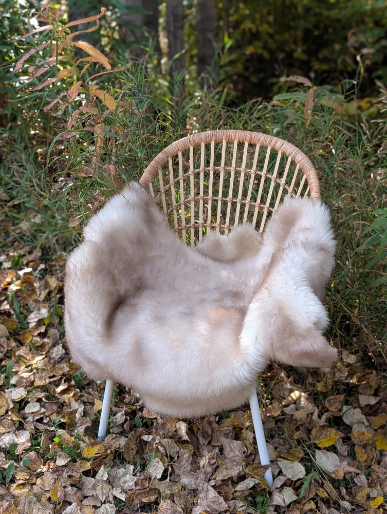 A soft light beige british isles sheepskin throw draped over a woven rattan chair with white metal legs