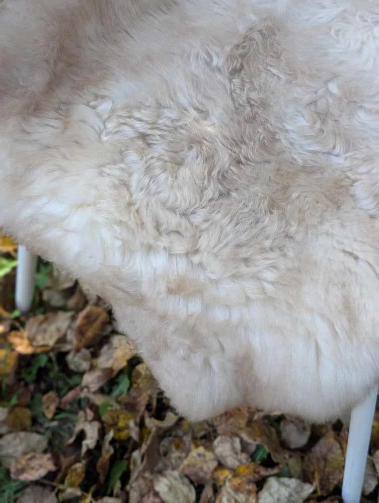 A soft cream-colored british isles sheepskin rug with natural curly texture perfect for cozy spaces