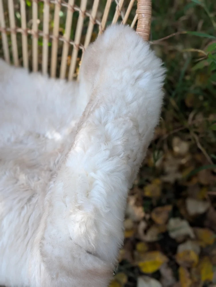A plush off-white british isles sheepskin throw draped over a wicker chair perfect for cozying up