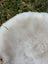 A soft fluffy white british isles sheepskin blanket with a slightly matted texture lying on grass