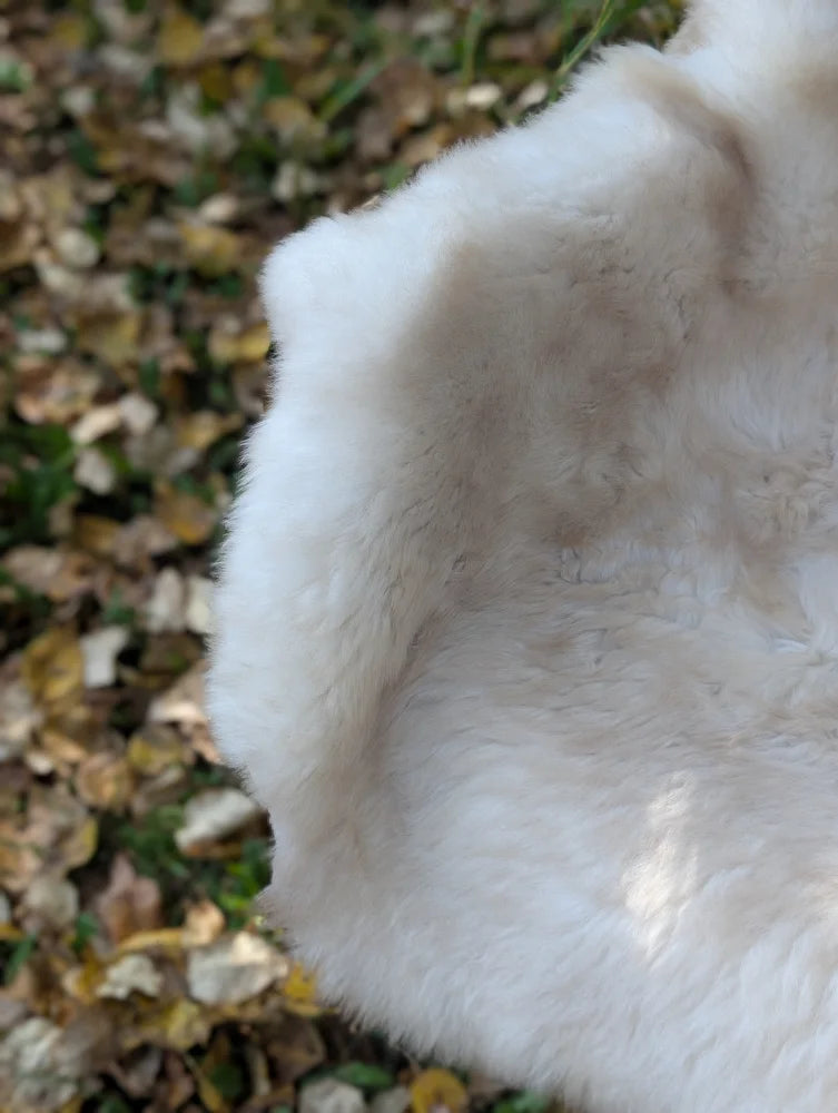 A plush off-white british isles sheepskin with soft dense faux fur and slightly uneven edges perfect for cozy décor
