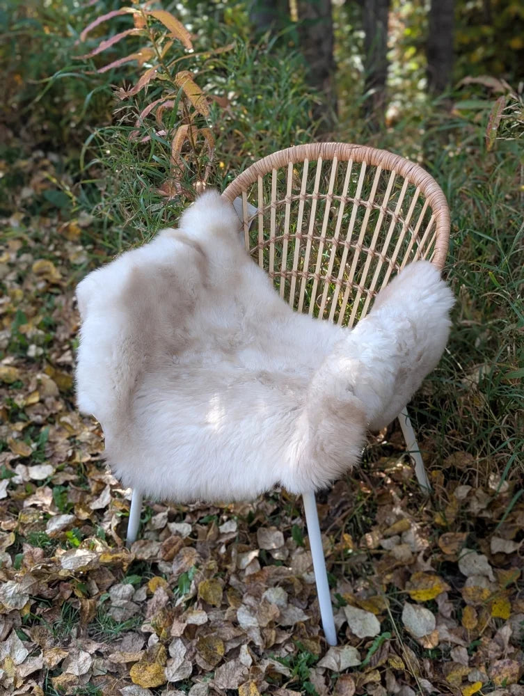 Cozy fluffy white british isles sheepskin throw draped over woven rattan chair with slender metal legs