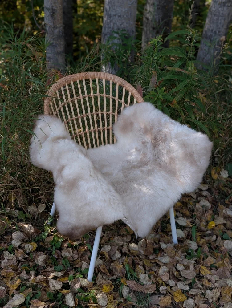 A soft fluffy white british isles sheepskin rug draped over a woven rattan chair with slender white legs