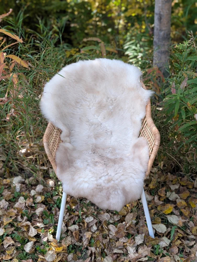 A soft cream-colored british isles sheepskin rug draped over a wicker chair with white metal legs