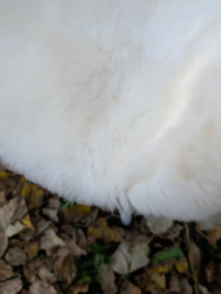 A fluffy white fur coat made from soft dense british isles sheepskin measuring 45 by 30 inches