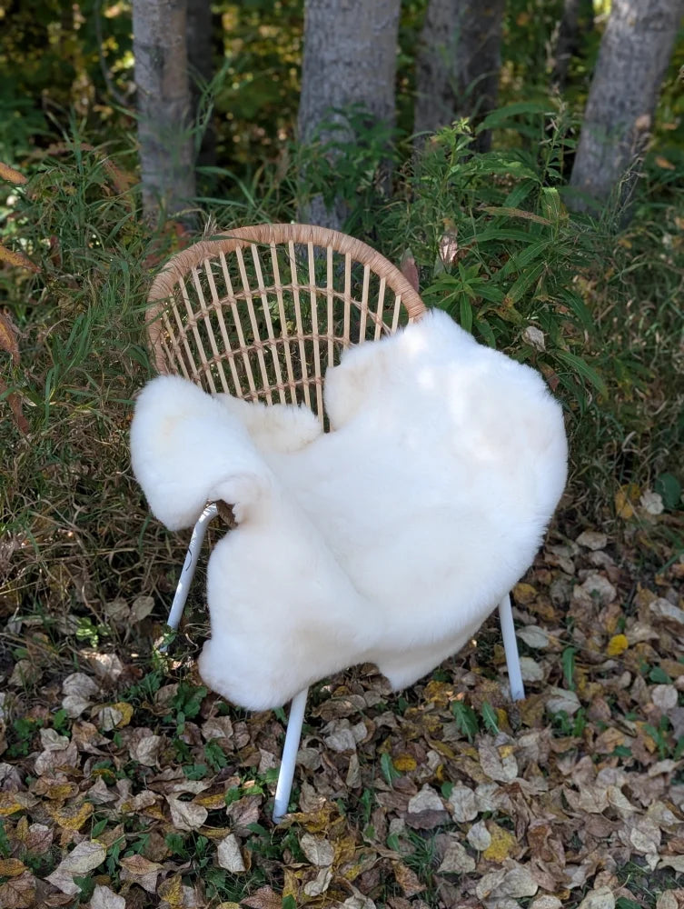 White fluffy british isles sheepskin throw draped over a wicker chair with metal legs for cozy decor