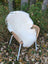 A plush white british isles sheepskin rug draped over a woven wicker chair with metal legs for cozy comfort