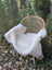 A soft off-white british isles sheepskin throw draped over a woven wicker chair with white metal legs
