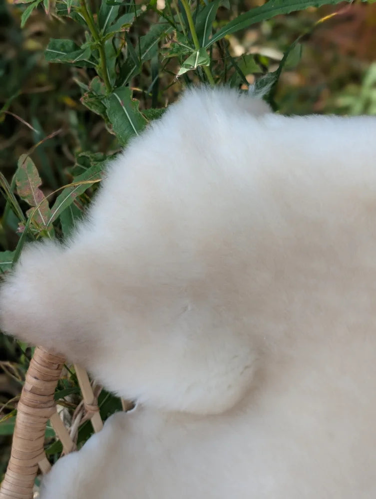 Soft fluffy white british isles sheepskin with natural texture and subtle shade variations sized 45 by 28 inches