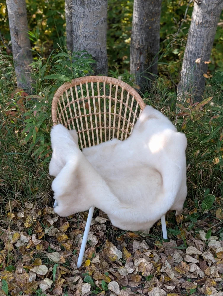 Woven rattan chair with a white british isles sheepskin throw draped over it for cozy seating