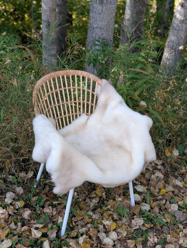 A soft off-white british isles sheepskin throw draped over a woven rattan chair with white metal legs