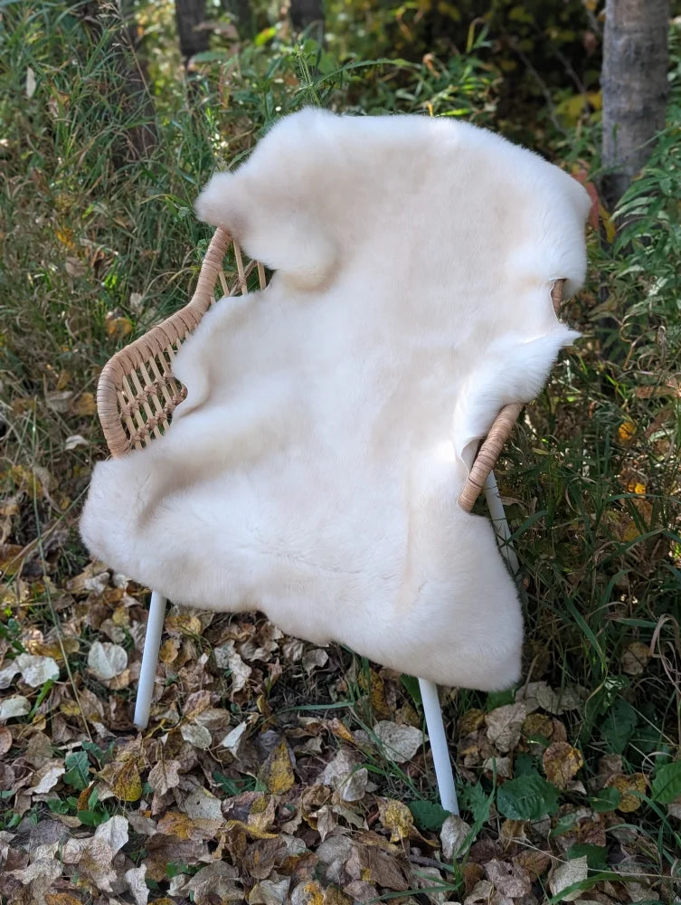 A plush off-white british isles sheepskin rug draped over a wicker chair with white metal legs