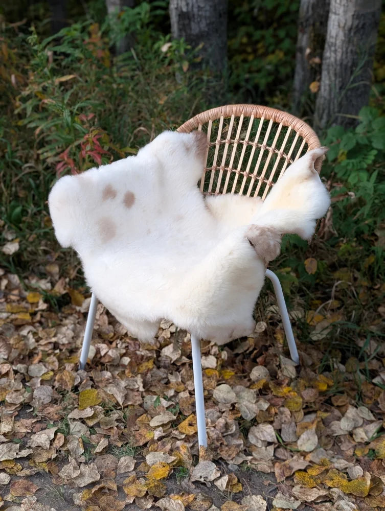 White british isles sheepskin chair cover with natural brown spots draped over a wicker-backed chair