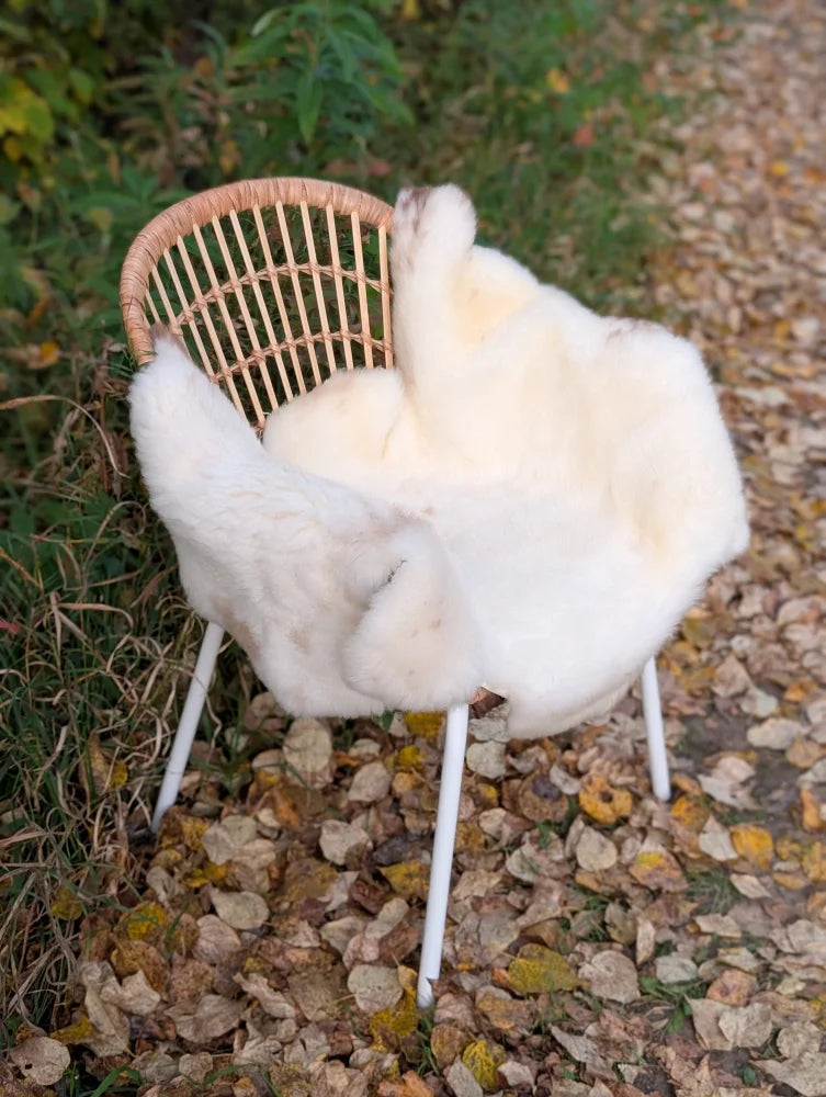 White faux fur british isles sheepskin throw draped over a wicker chair with white metal legs Mel7 45 x 29 inches