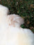 A fluffy white and light brown dog resting on a 45 x 29 british isles sheepskin rug mel7