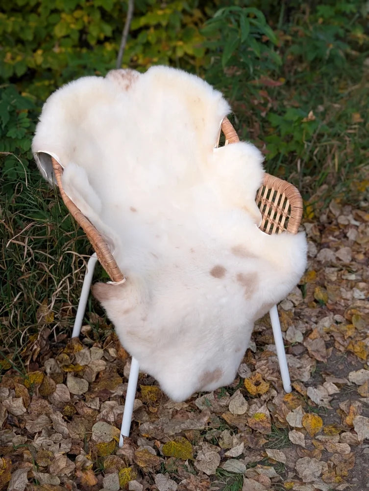 A soft creamy white british isles sheepskin rug with subtle brown patches draped over a woven wicker chair