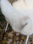 A fluffy white dog resting on a chair covered with soft thick british isles sheepskin mel7 45 x 29 inches