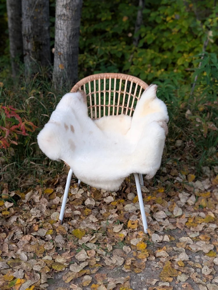A cozy white british isles sheepskin blanket draped over a woven wicker chair with metal legs