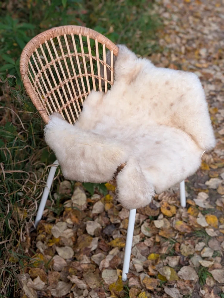 A soft cream-colored british isles sheepskin rug with natural fluffy texture on a woven wicker chair