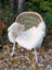 A cozy off-white british isles sheepskin rug draped over a woven rattan chair with white metal legs