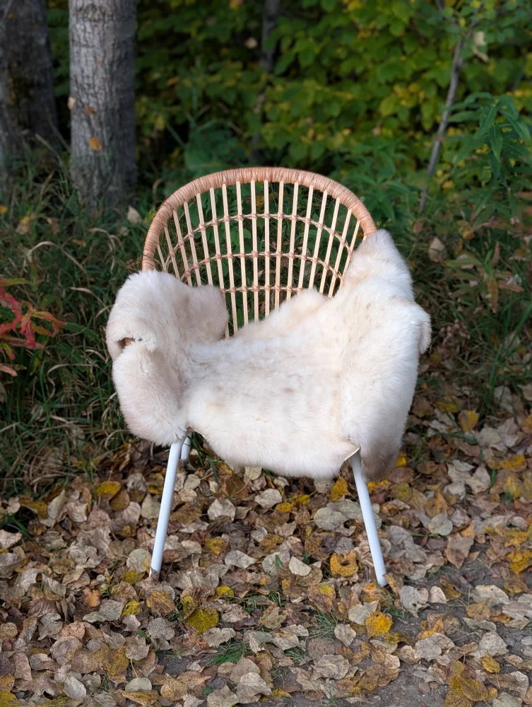 A cozy cream british isles sheepskin throw draped over a woven wicker chair with white metal legs