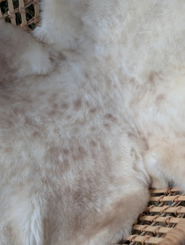 A soft fluffy white british isles sheepskin rug with tan patches resting in a woven wicker basket