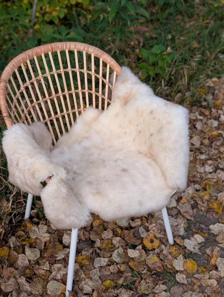 A soft off-white british isles sheepskin throw draped over a woven wicker chair with white metal legs