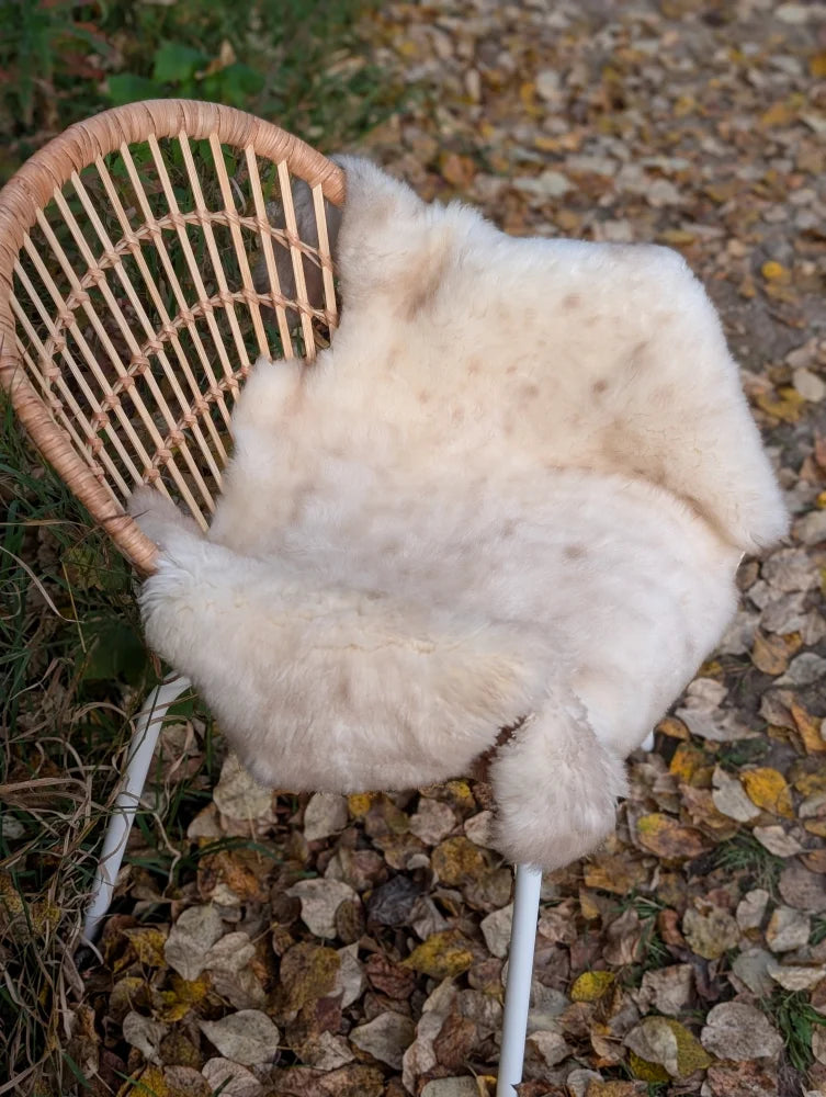 Cream-colored british isles sheepskin rug with soft fluffy texture and natural fur pattern 46 x 24 inches