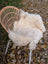 Cream-colored british isles sheepskin rug with soft fluffy texture and natural fur pattern 46 x 24 inches
