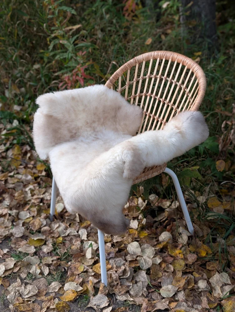 A soft creamy white british isles sheepskin throw draped over a woven wicker chair with metal legs