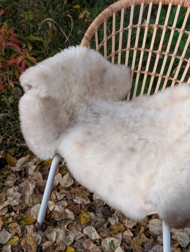 Cream-colored british isles sheepskin chair cover draped over a wicker chair for cozy seating comfort