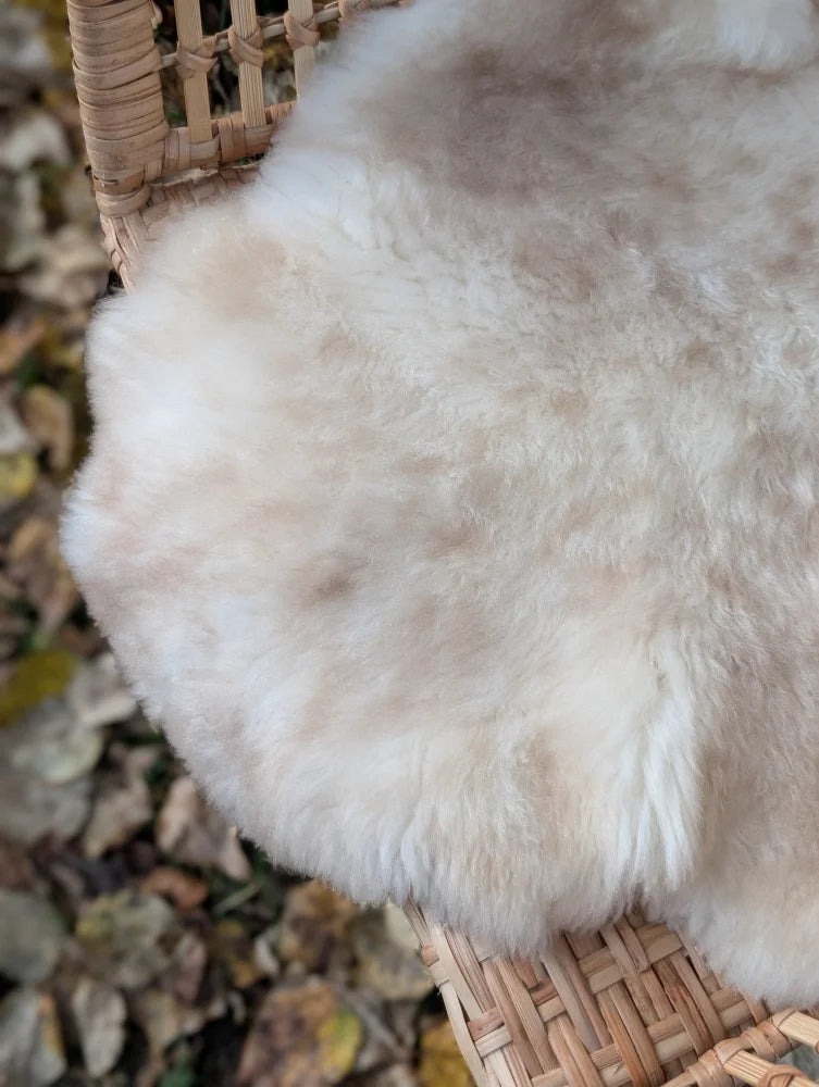 Cream-colored british isles sheepskin rug with soft fluffy texture on woven wicker chair mel8 46 x 24 inches