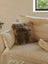 A plush shaggy brown merino sheepskin cushion with cotton backs resting on a cream sofa arriving october