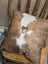 Brown and white mini moo double sided cowhide cushion with stitched cow face appliqué by angus oliver canada