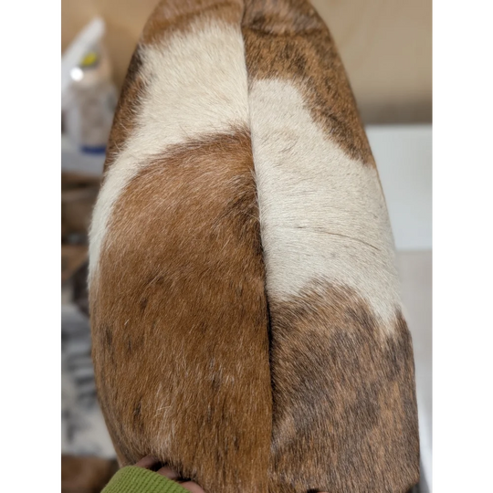 Mini moo double sided cowhide cushion by angus oliver canada with plush brown and white fur soft textured surface