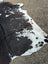 Moon1 massive 96x82 large cowhide rug with black white and natural brown patches showing unique characteristics