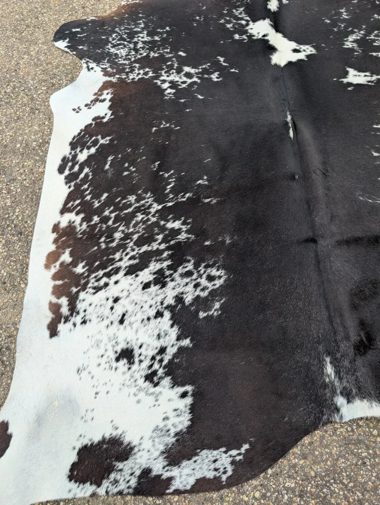 Large cowhide rug with beautiful black white and natural brown patches showcasing unique characteristics