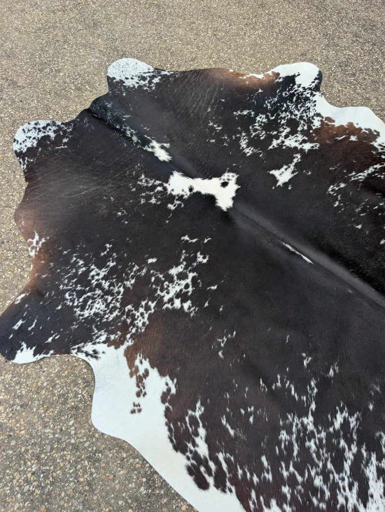 A large cowhide rug with beautiful black white and brown spotted unique characteristics perfect for home decor