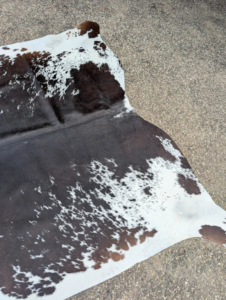A large cowhide rug with natural brown and white spots showcasing unique characteristics for beautiful rugs