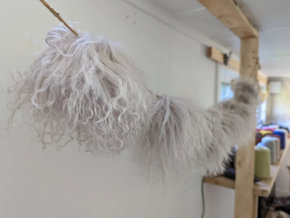 White curly yarn pom-pom from Mushroom Sheepskin Pom Poms