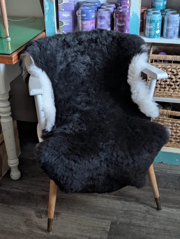 Black sheepskin chair cover with white fur trim made from soft wool icelandic sheepskins natural blacky brown