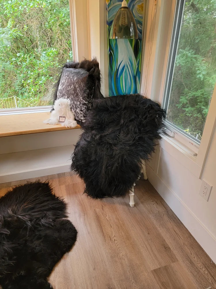 Black fluffy sheepskin chair with white legs made from natural long wool icelandic sheepskins perfect for cozy spaces
