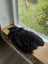 Black fluffy natural blacky long wool icelandic sheepskin rug resting on wooden windowsill with wool icelandic texture